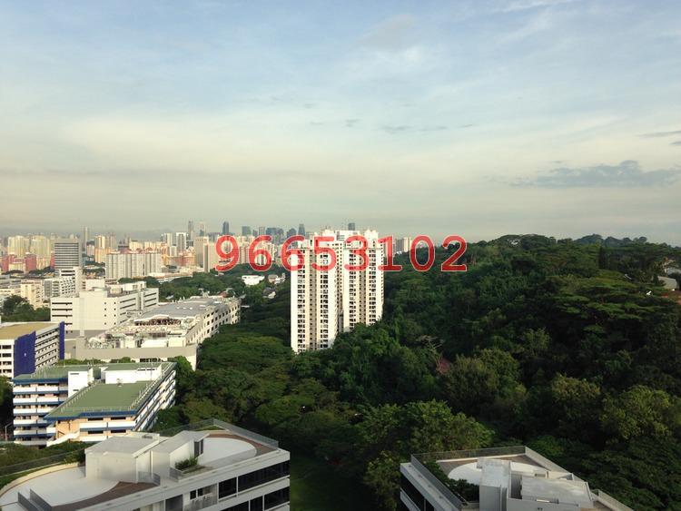 The Interlace (D4), Condominium #161334362